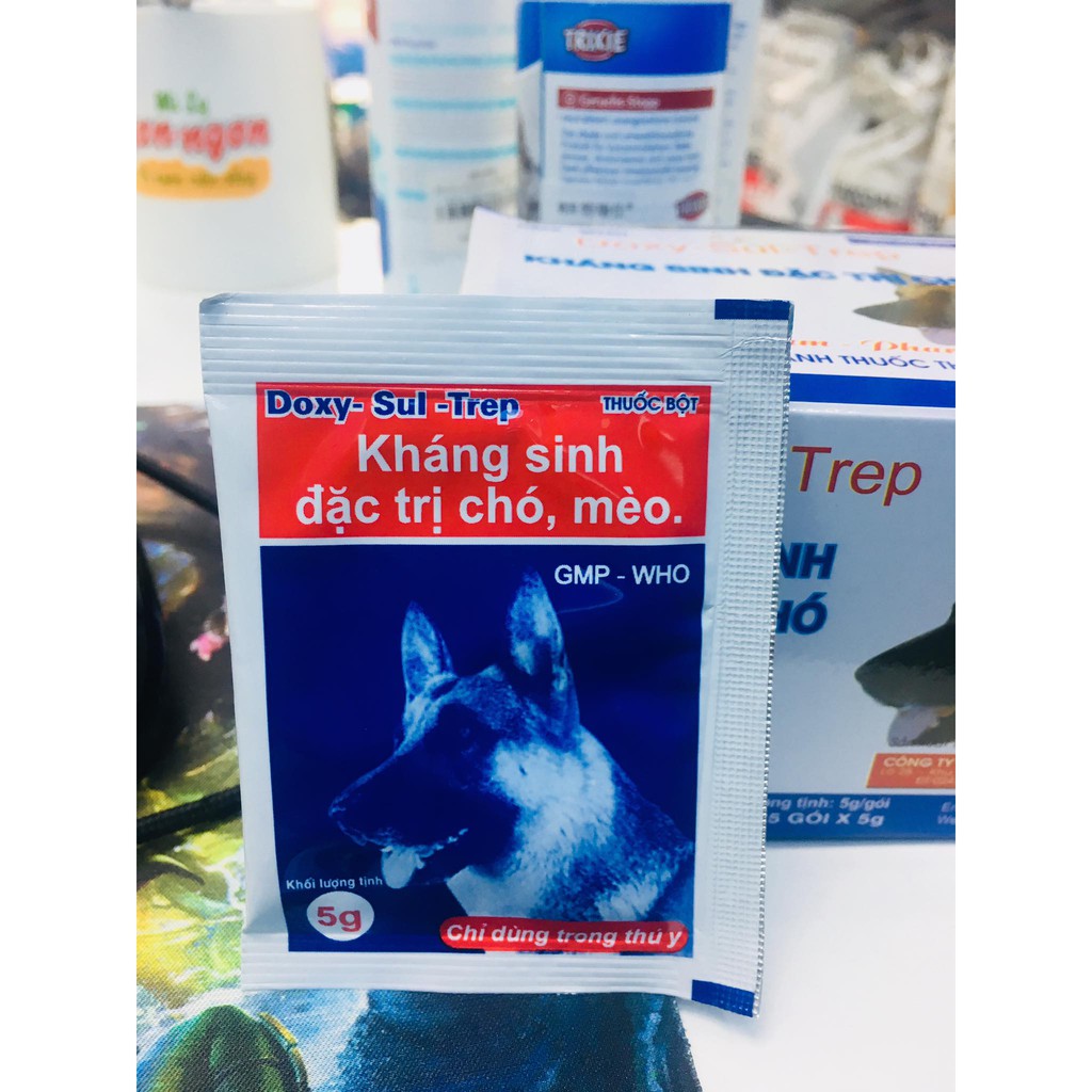 Thuốc Kháng Sinh Đặc Trị Chó Mèo