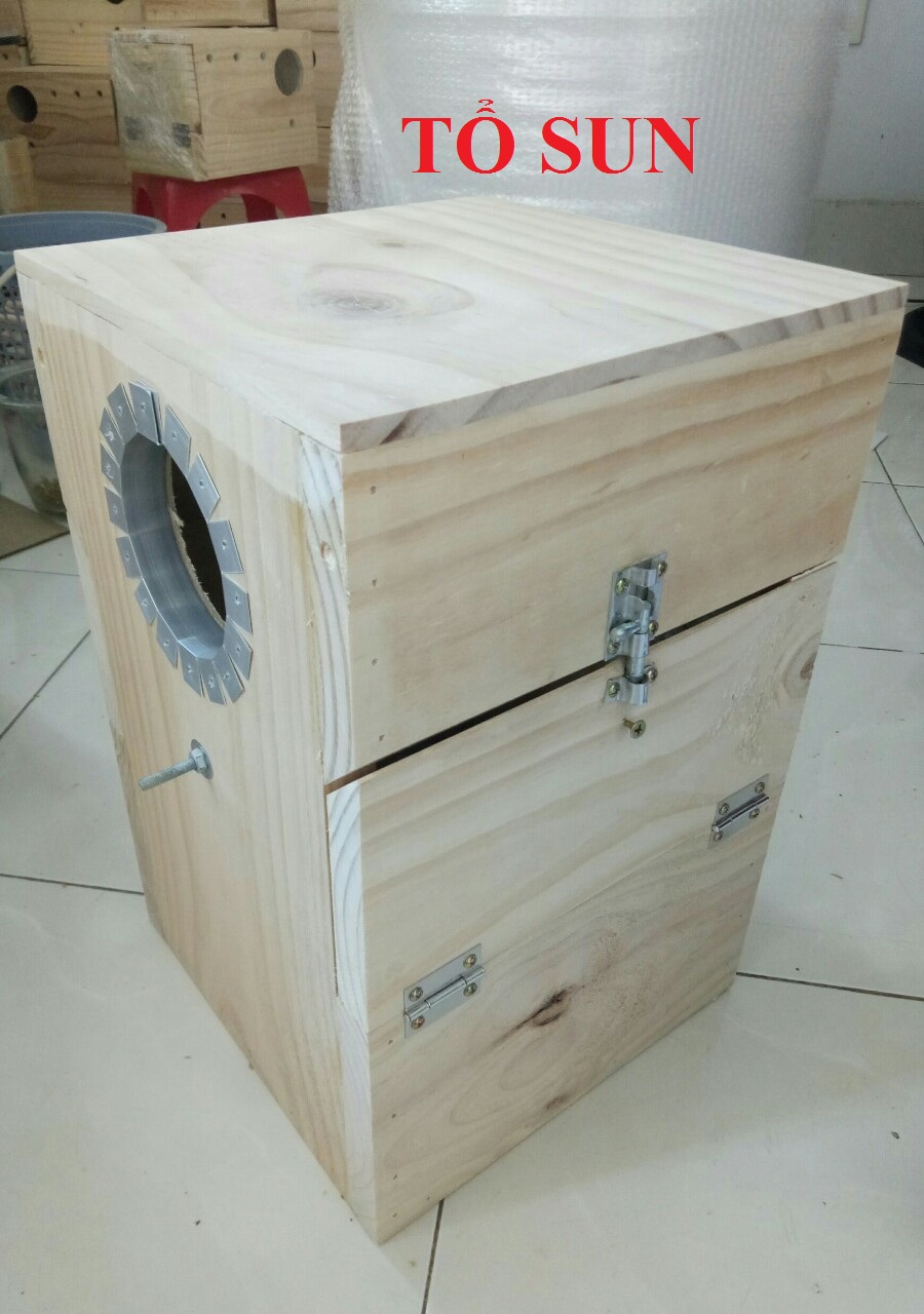 TỔ ĐẺ CHO VẸT SUNCORUNE.