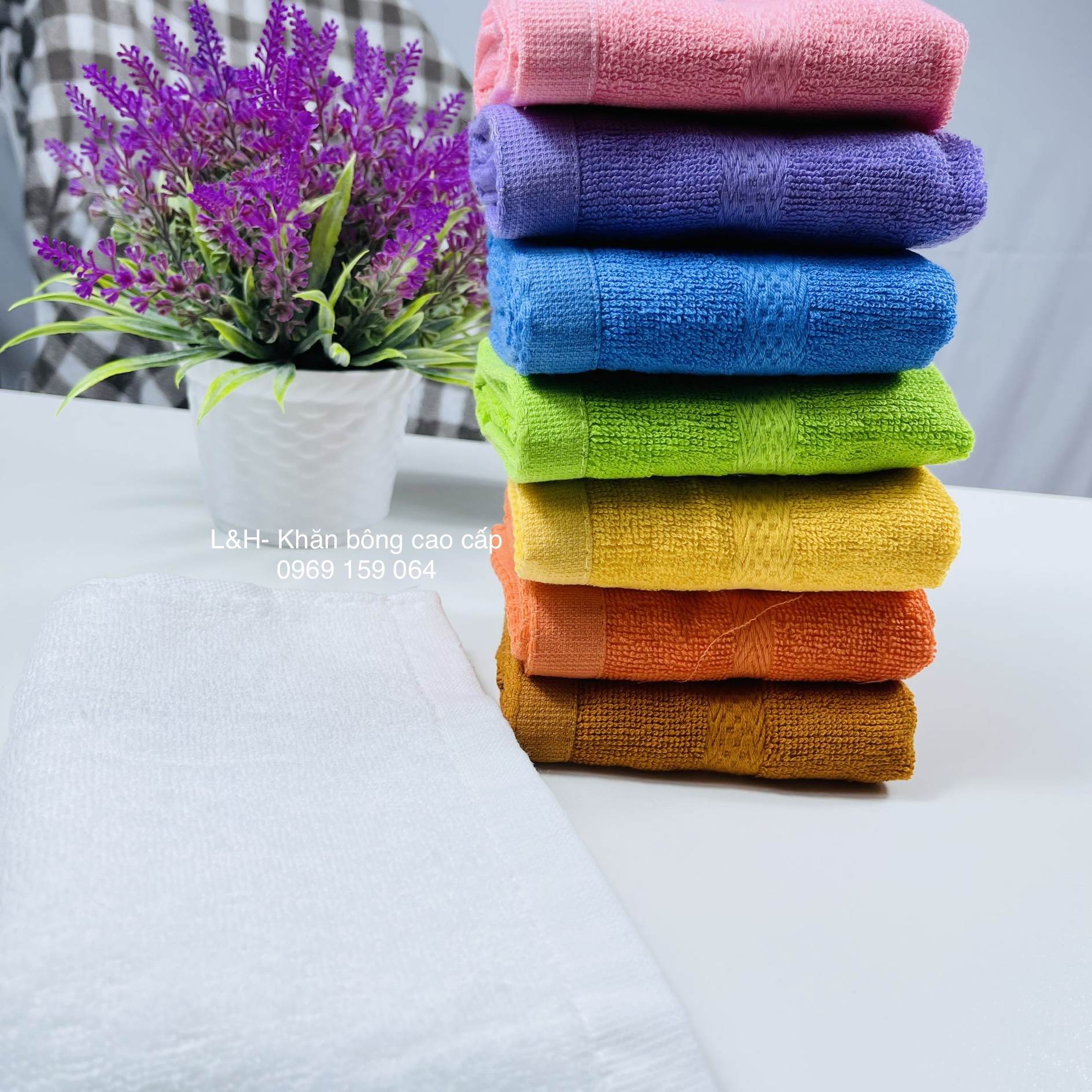 Khăn mặt màu cotton Tân Thịnh, Kt 30x50cm