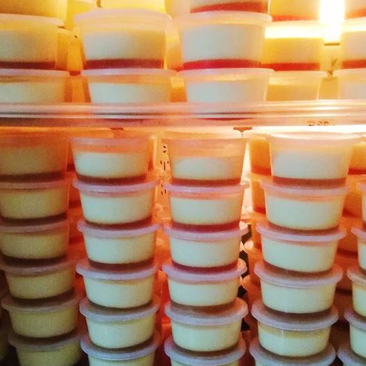 100 Hũ bánh Flan ( Hũ + nắp )