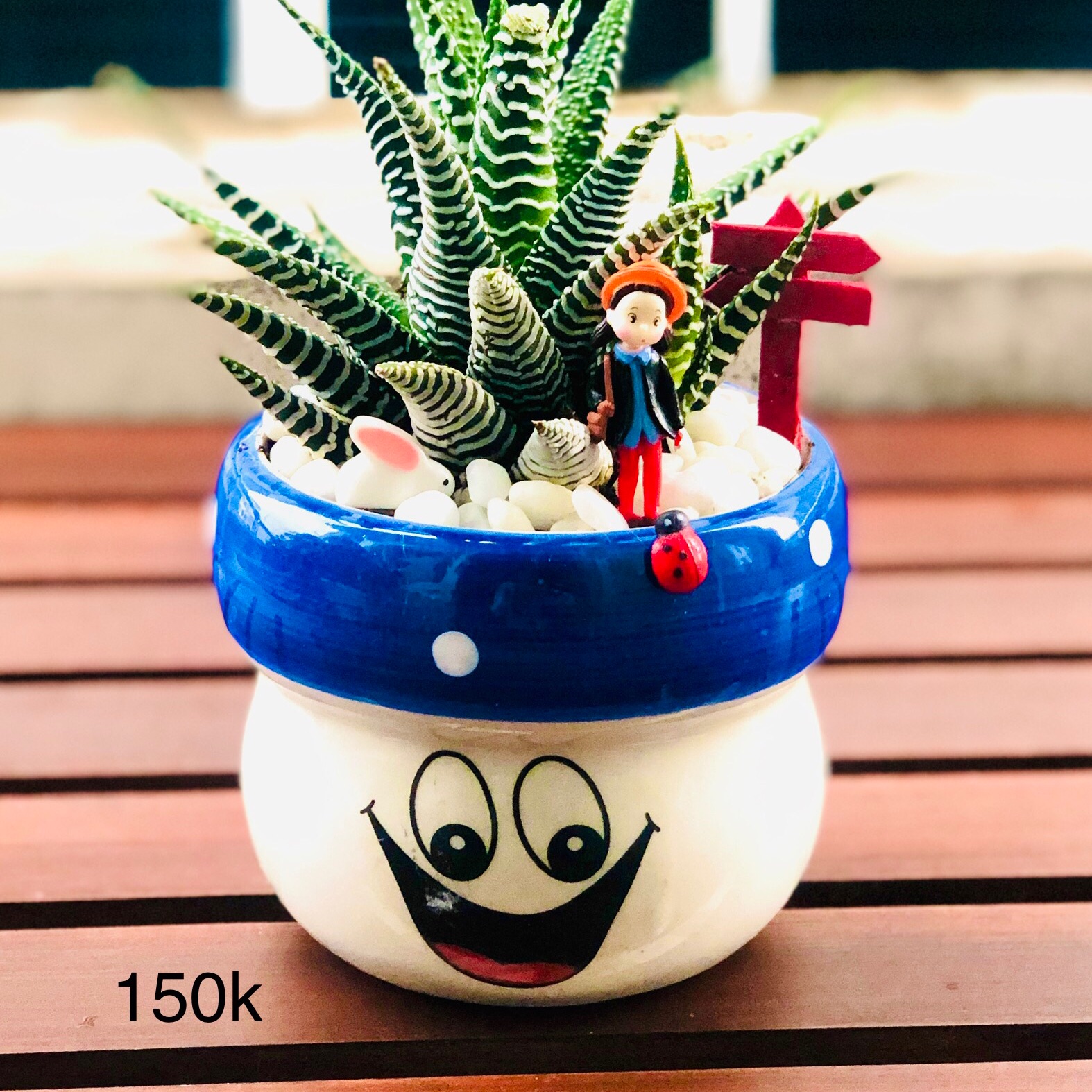 Chậu tiểu cảnh để bàn