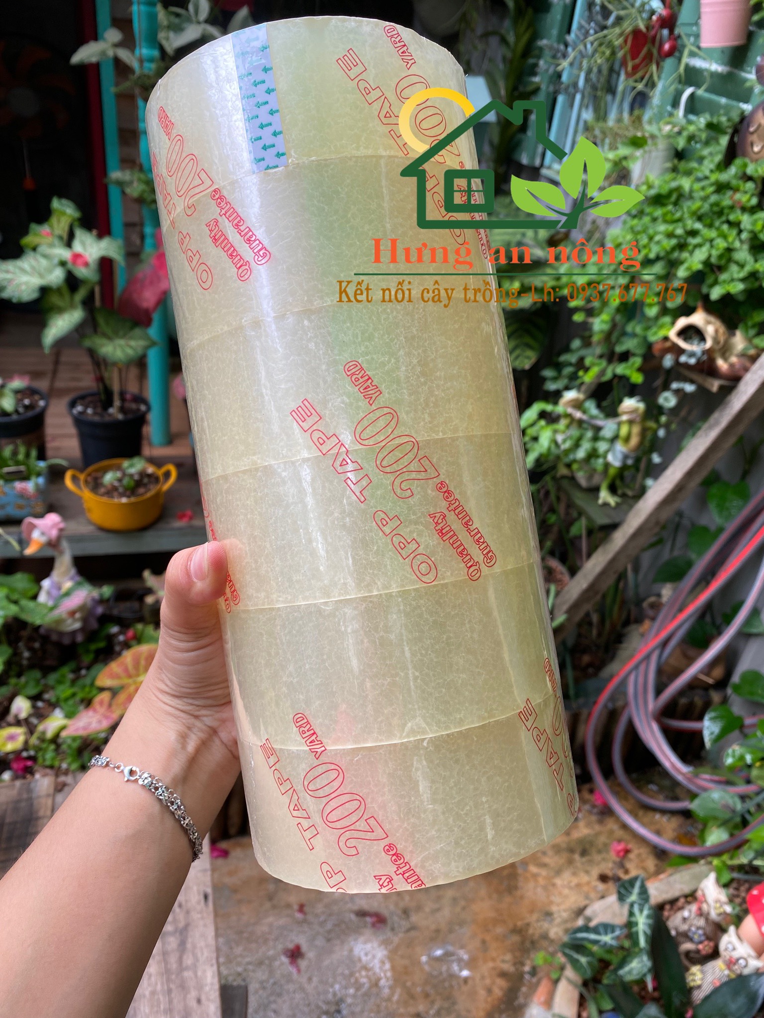 1 cây 6 cuộn băng keo 200 yard 2 ký