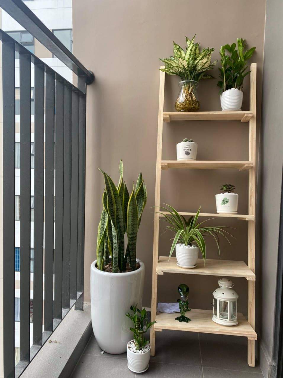 Kệ gỗ 5 tầng