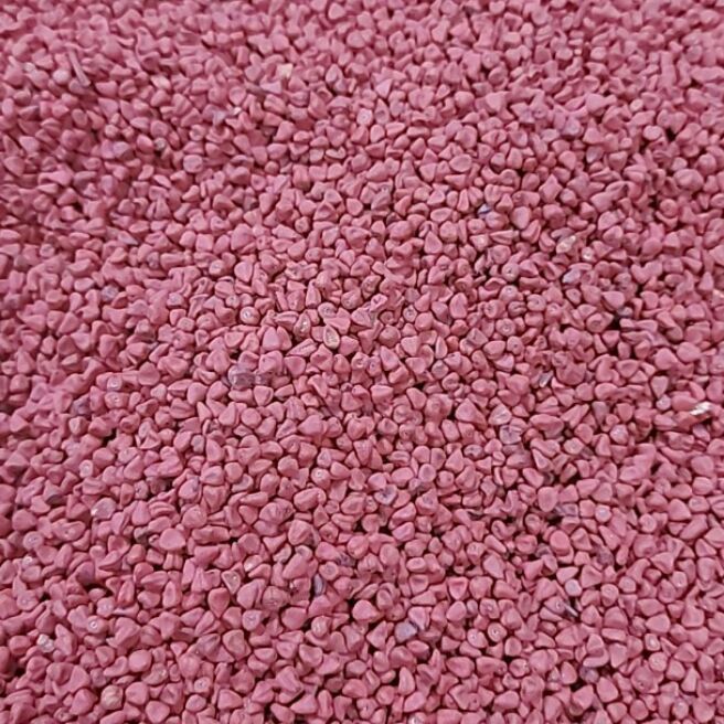 [HCM]1 kg hạt điều màu