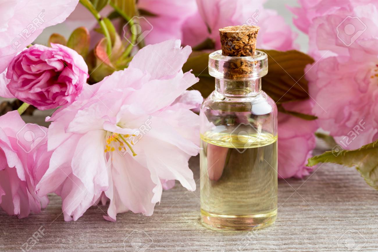 Tinh dầu hoa anh đào (Cherry Blossom)