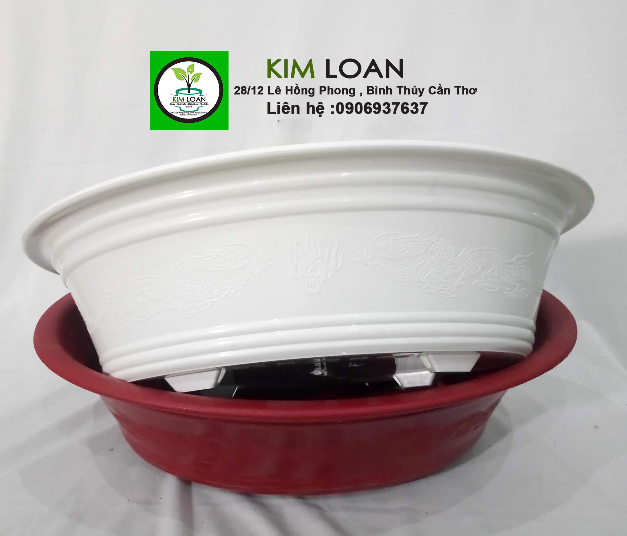 Combo 4 chậu nhựa ovan vành loe 39x28x12cm