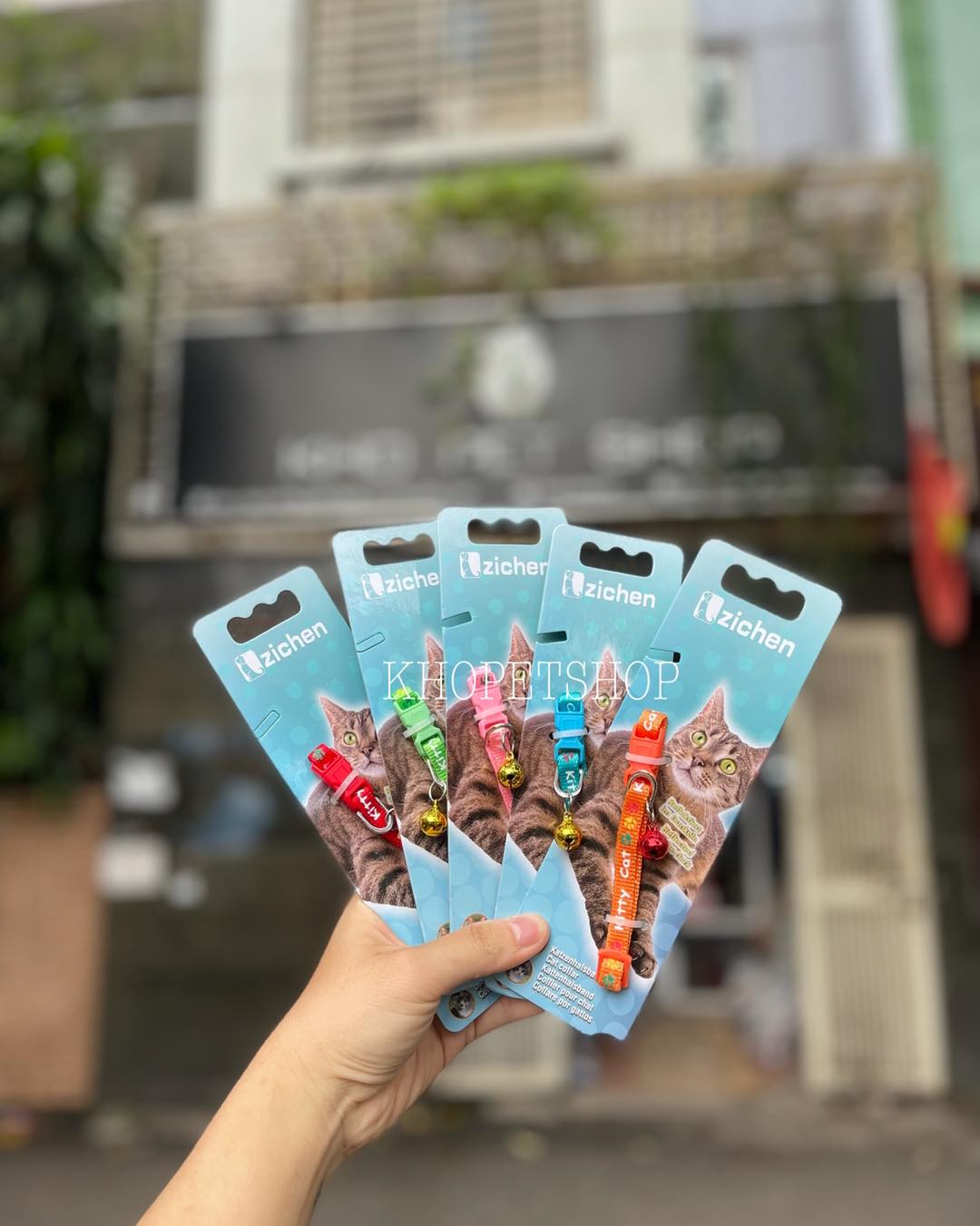 Vòng cổ cho mèo con