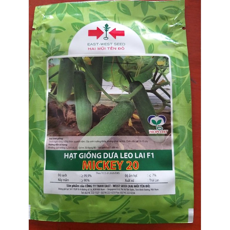 Hạt giống dưa leo mickey 20 Hai mũi tên đỏ gói 10g