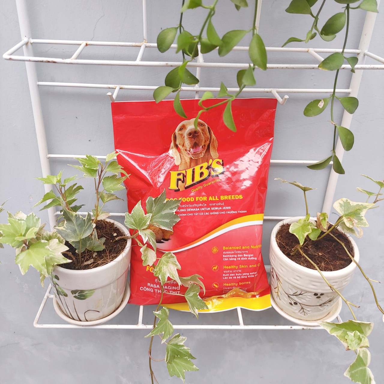 Thức Ăn Hạt Khô Cho Chó Fib 400g giá rẻ