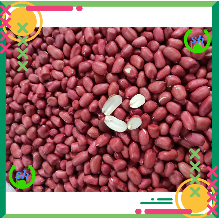 Lạc đỏ rang sẵn - 200gr- lạc bóc tay- đậu phộng rang