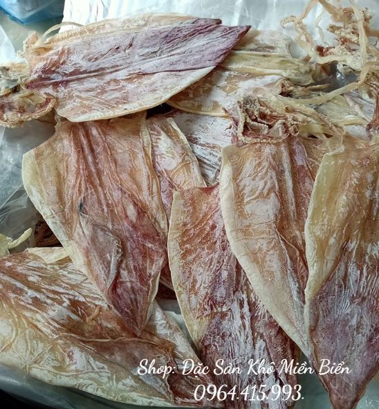 10 con MỰC KHÔ to như hình