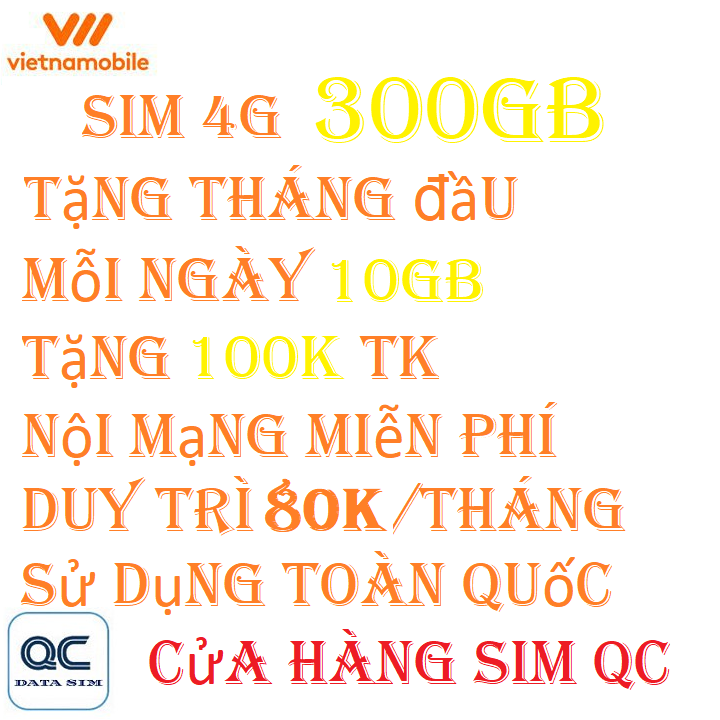 FREESHIP - CHƯA KÍCH HOẠT  [HCM]Siêu thánh sim king-4G VNMB miễn phí max data 300GB