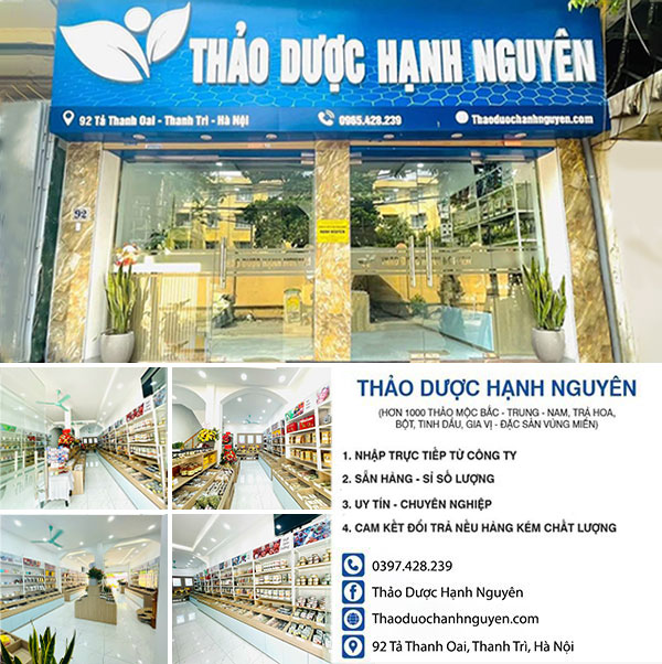 Trà Phan Tả Diệp Giảm Cân 100g Hàng Khô Chất Lượng - Thảo Dược Hạnh Nguyên