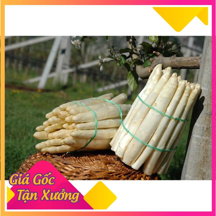 [HCM]Khu Vườn Hạt Giống Măng Tây Trắng .