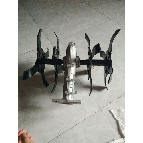 đầu sới đất cỏ loại bánh soắn