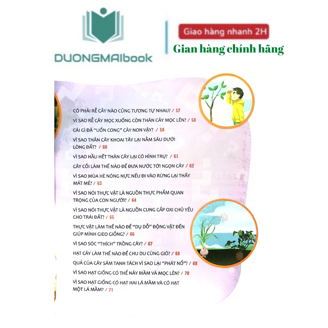 Sách - Hỏi nhỏ biết to - Thực vật