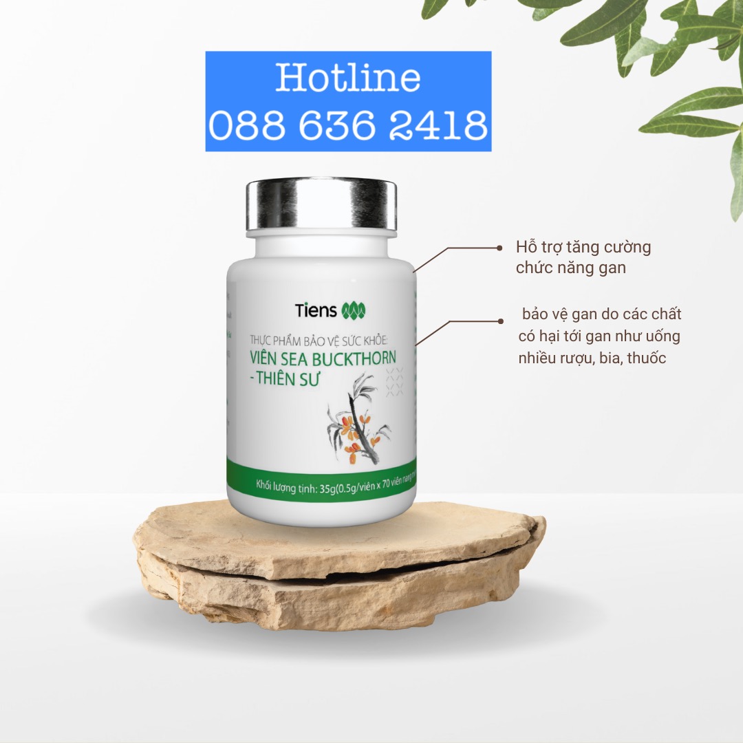 Viên hắc mai biển Thiên Sư