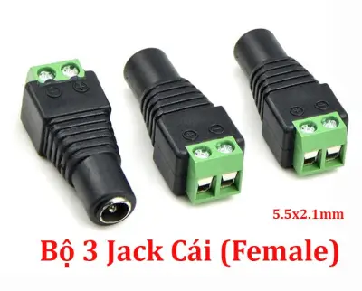 Bộ 3 Jack DC 5.5x2.1mm đầu vào cổng Domino (Jack Đực / Cái)