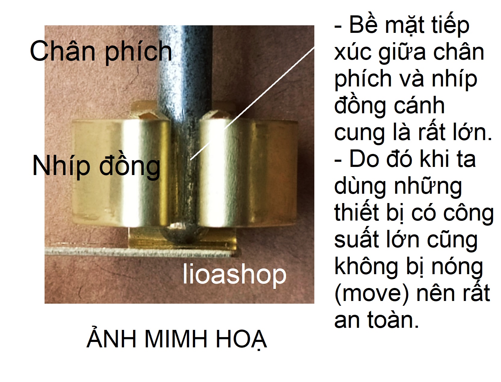 Single 2-Pin Rectangular Socket Lioa