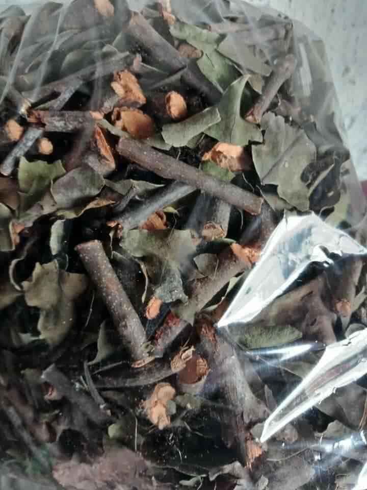 CÂY TẦM GỬI GẠO 1KG