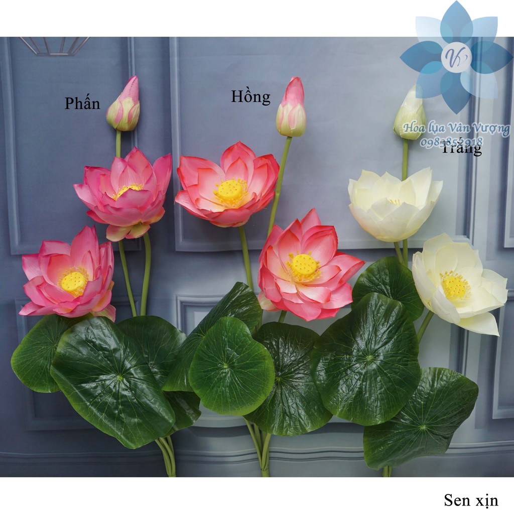 Hoa Lụa 🌺FREESHIP🌺 Hoa Sen Giả Trang Trí