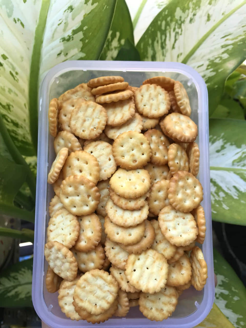 Bánh Quy Đồng Tiền 250G