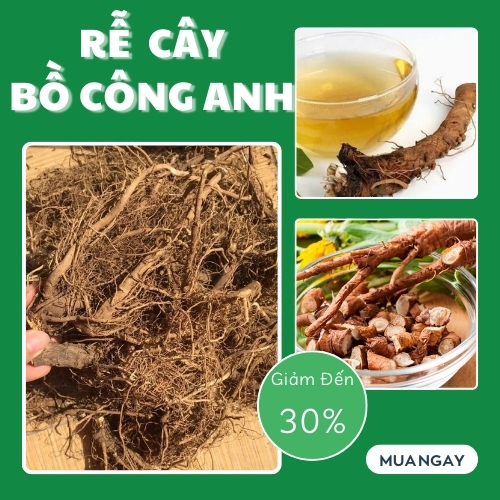 Trà rễ bồ công anh 500g - Thảo Dược Tấn Phát - H.ỗ t.rợ thanh nh.iệt và giải đ.ộc