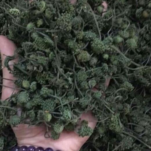 500g nụ hoa tam thất