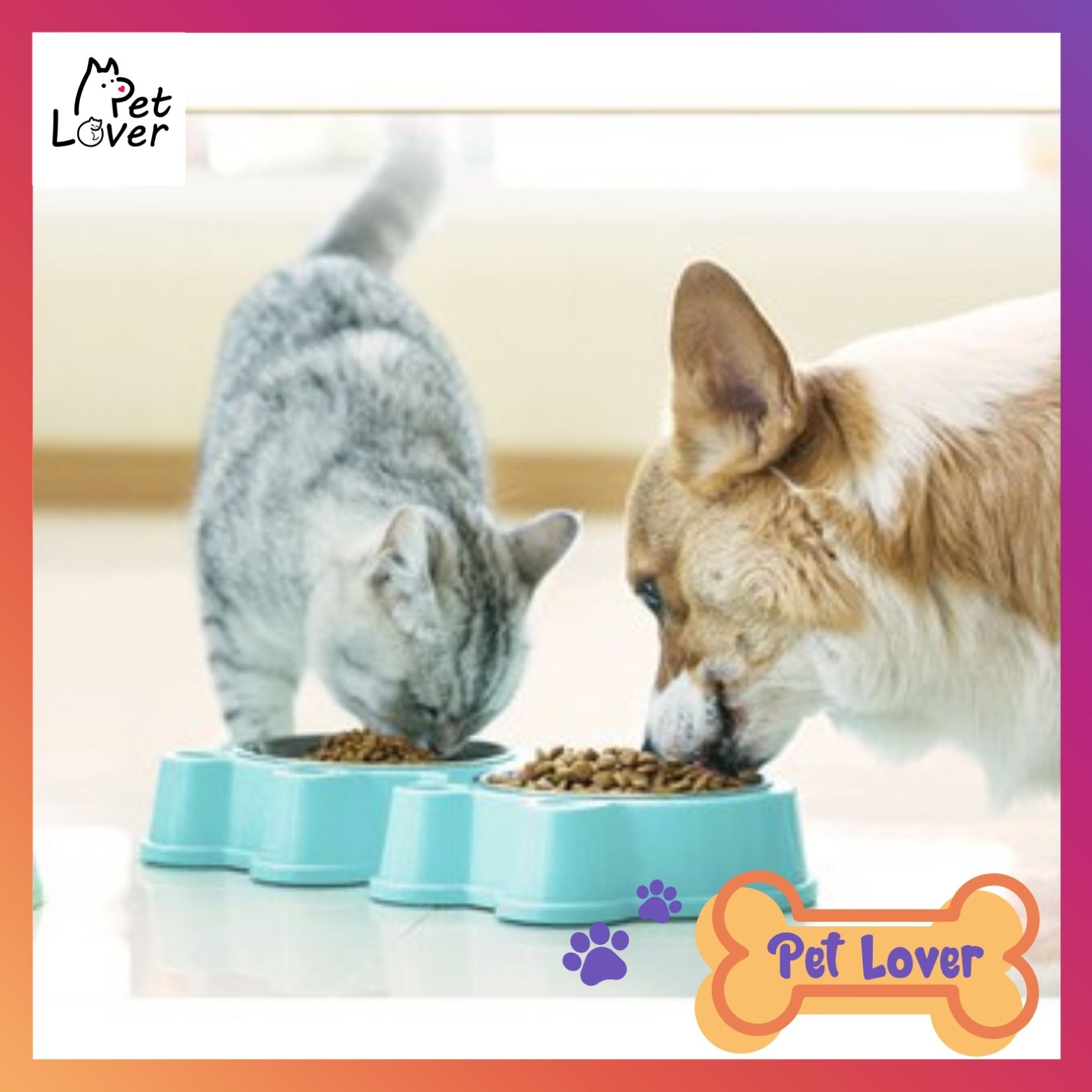 Bát ăn cho mèo, bát ăn cho chó, khay inox kèm theo, sạch sẽ, dễ dàng vệ sinh (cho pet dưới 10kg) - petlover