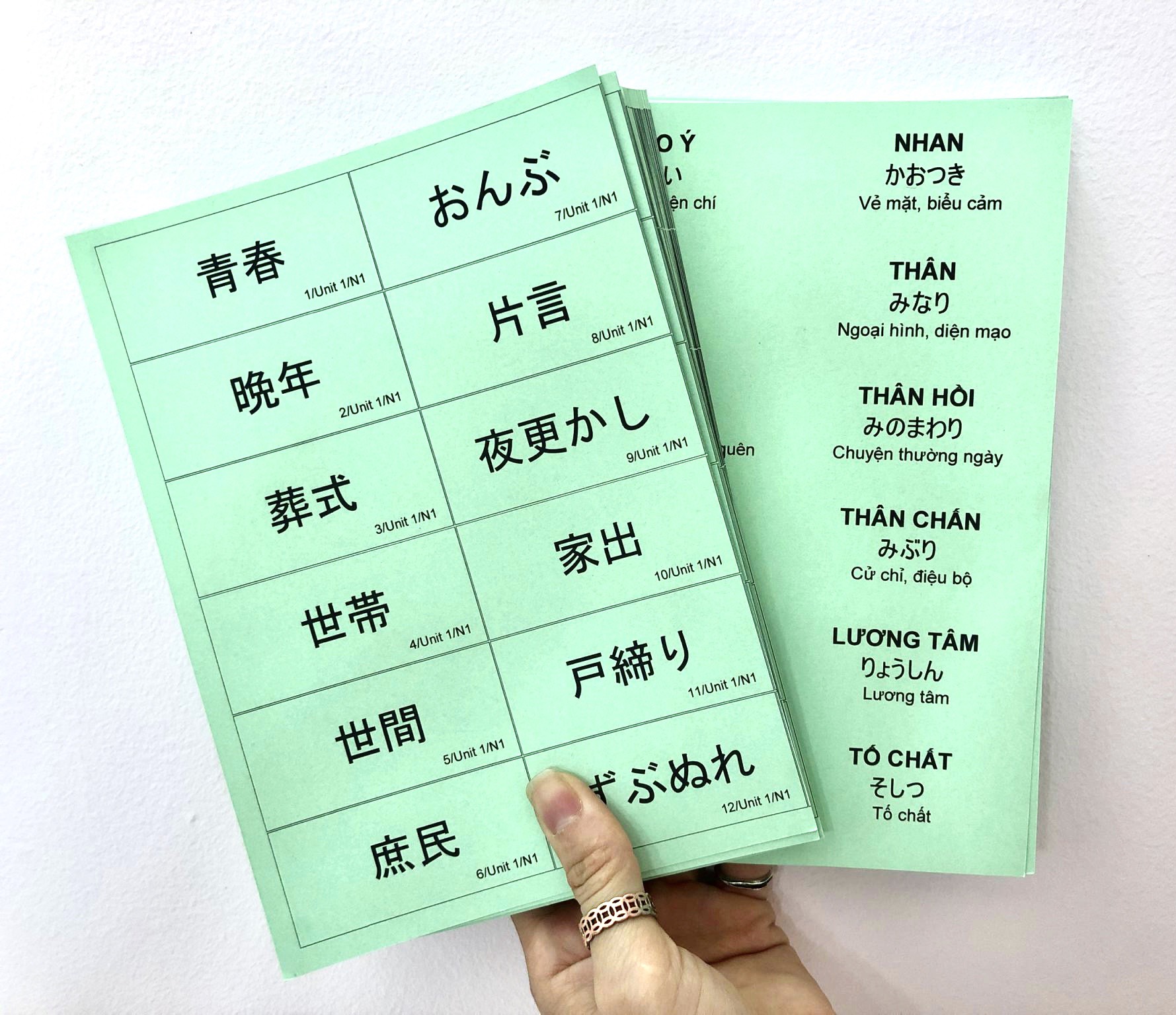 [HCM]Flashcard từ vựng N1 Mimikara
