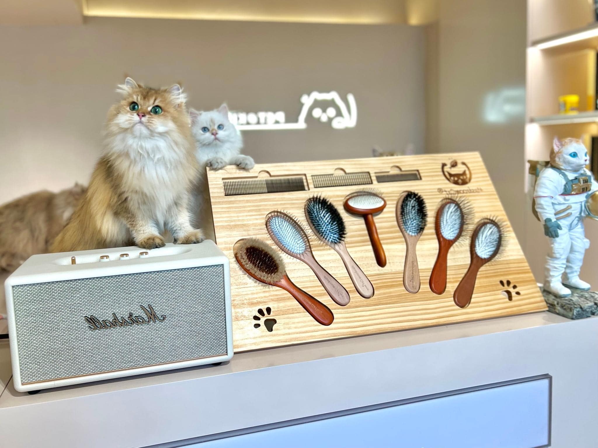 Lược Grooming cho thú cưng