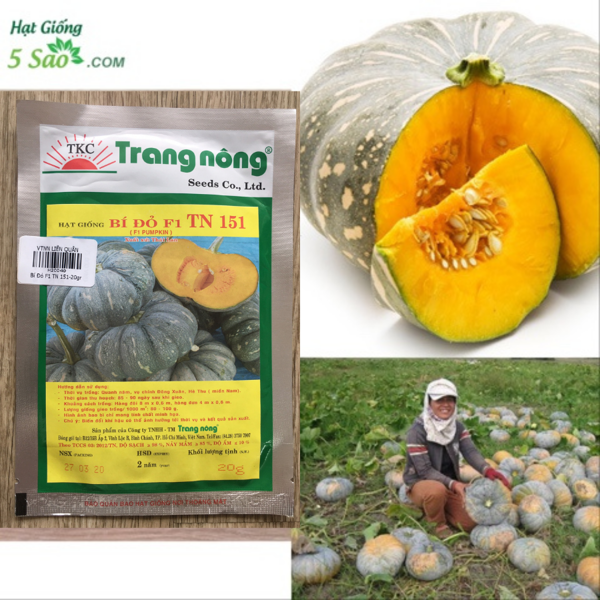 Hạt giống bí đỏ f1 tn427 trang nông gói 2gram