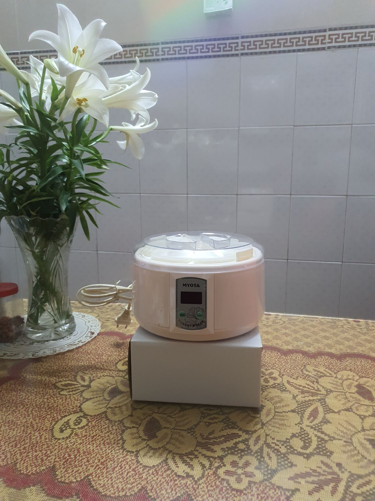 Máy làm sữa chua 1.2l