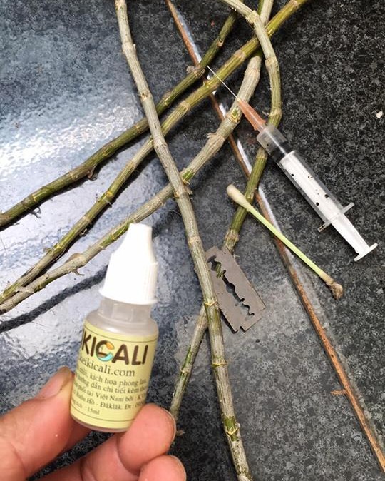 Kích keiki cali pro 15ml