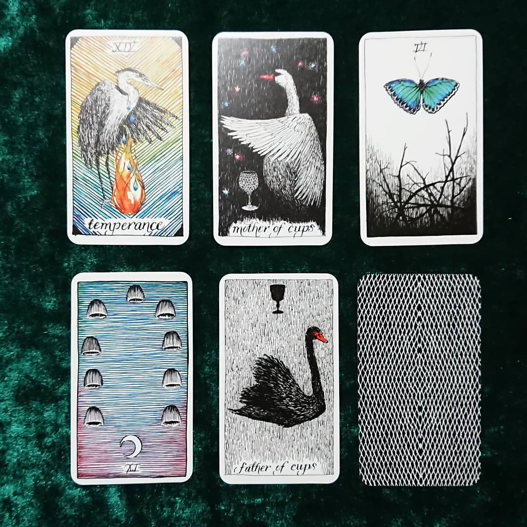 The Wild Unknown Tarot Pocket