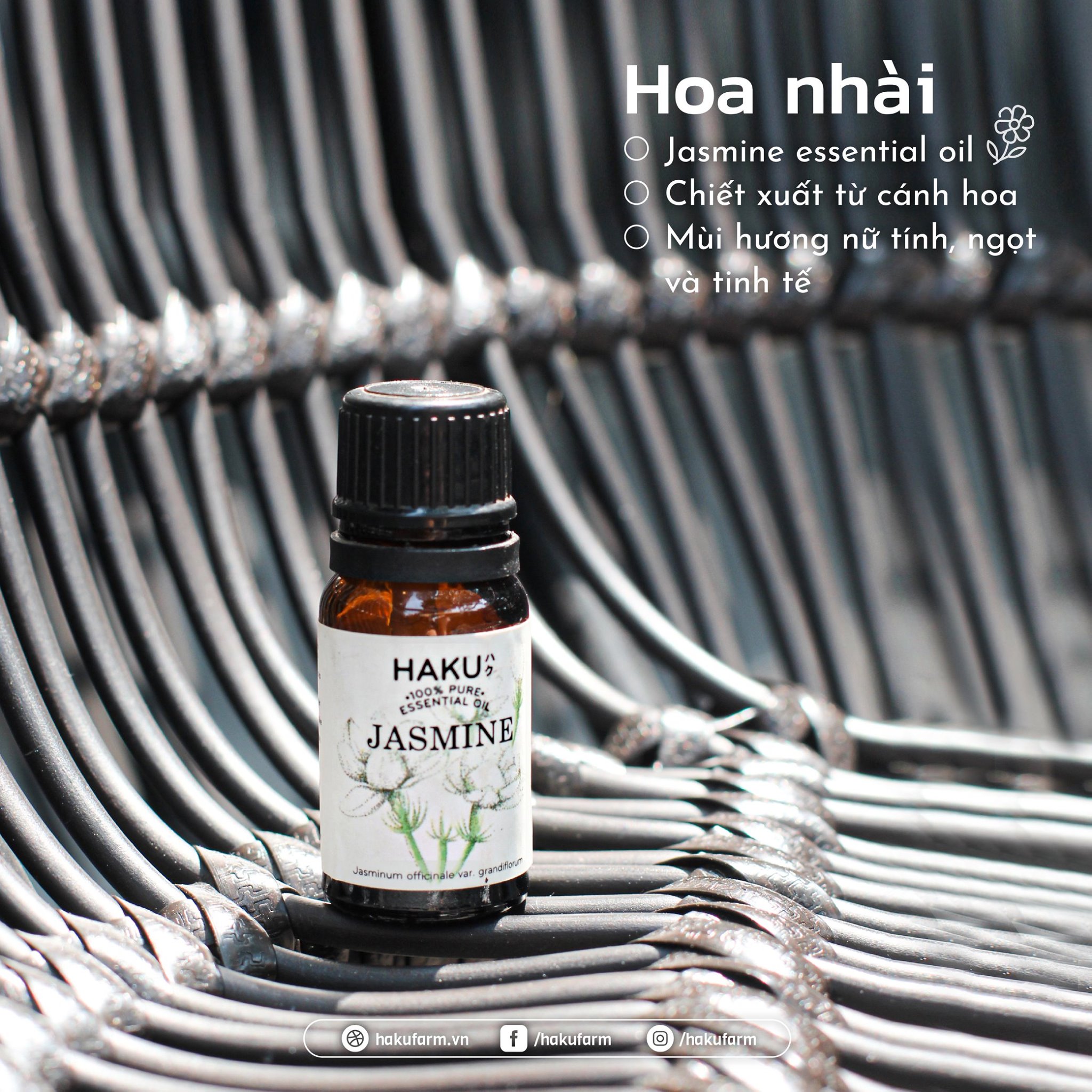 Jasmine Essential Oil