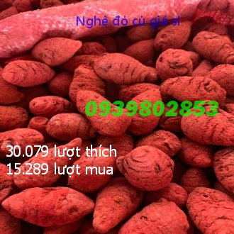 Nghệ đỏ củ cho gà đá 1 ký