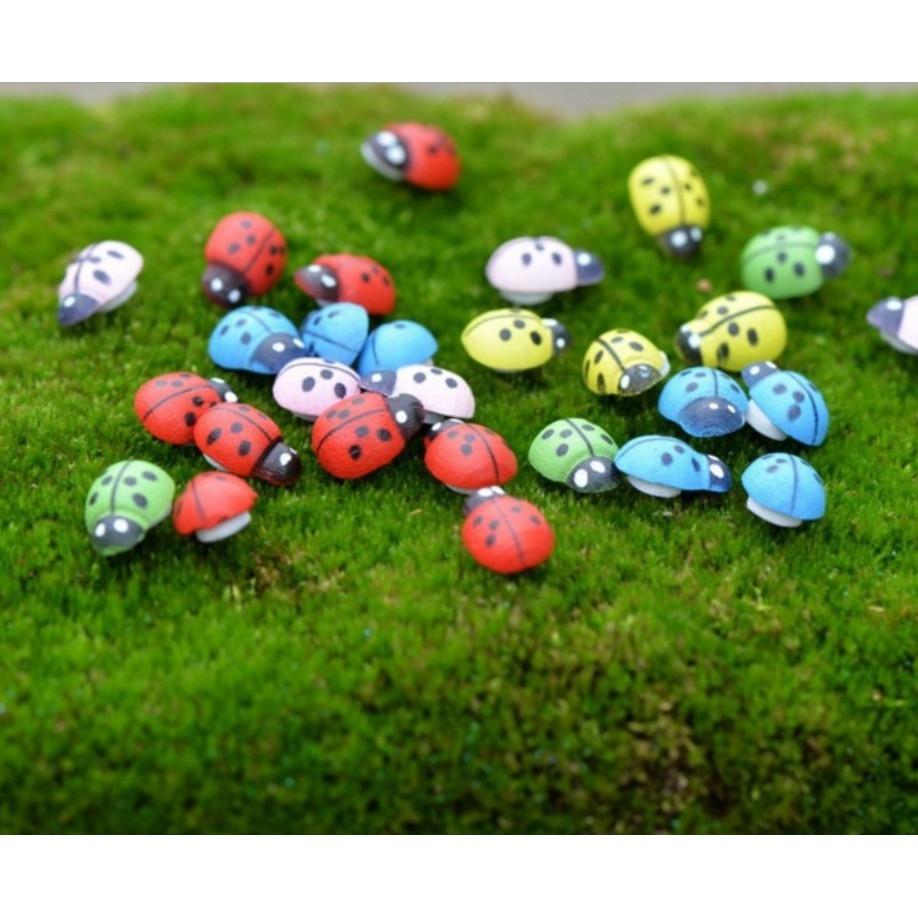 [HCM]COMBO 10 con bọ cánh cứng nhiều màu làm phụ kiện tiểu cảnh trang trí chậu cây terrarium