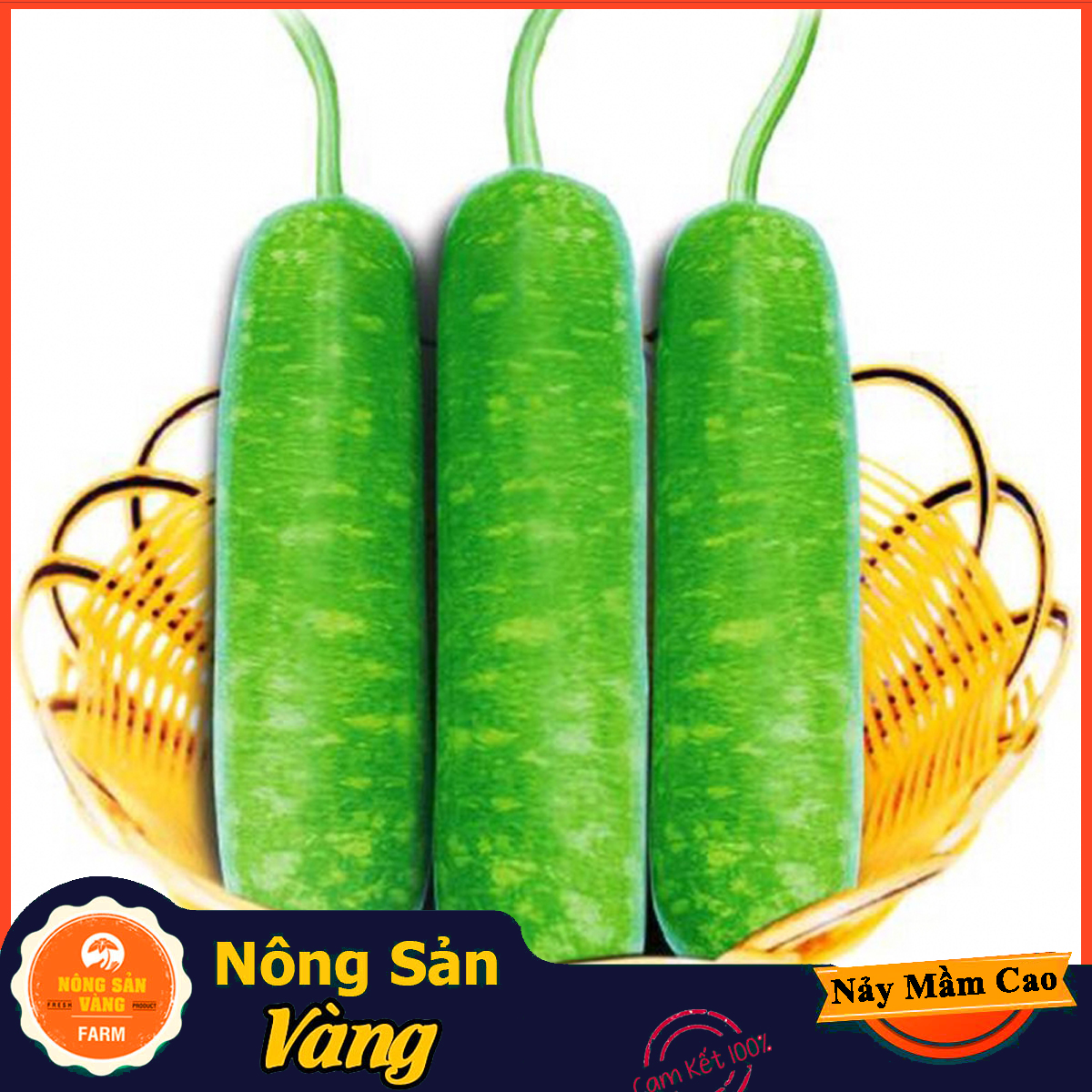 Hạt giống Bầu Dài Bầu Sao Lai ( Gói 10 Hạt ) - Nông Sản Vàng