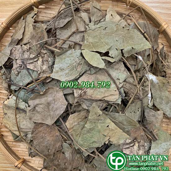Lá vông nem khô 1kg