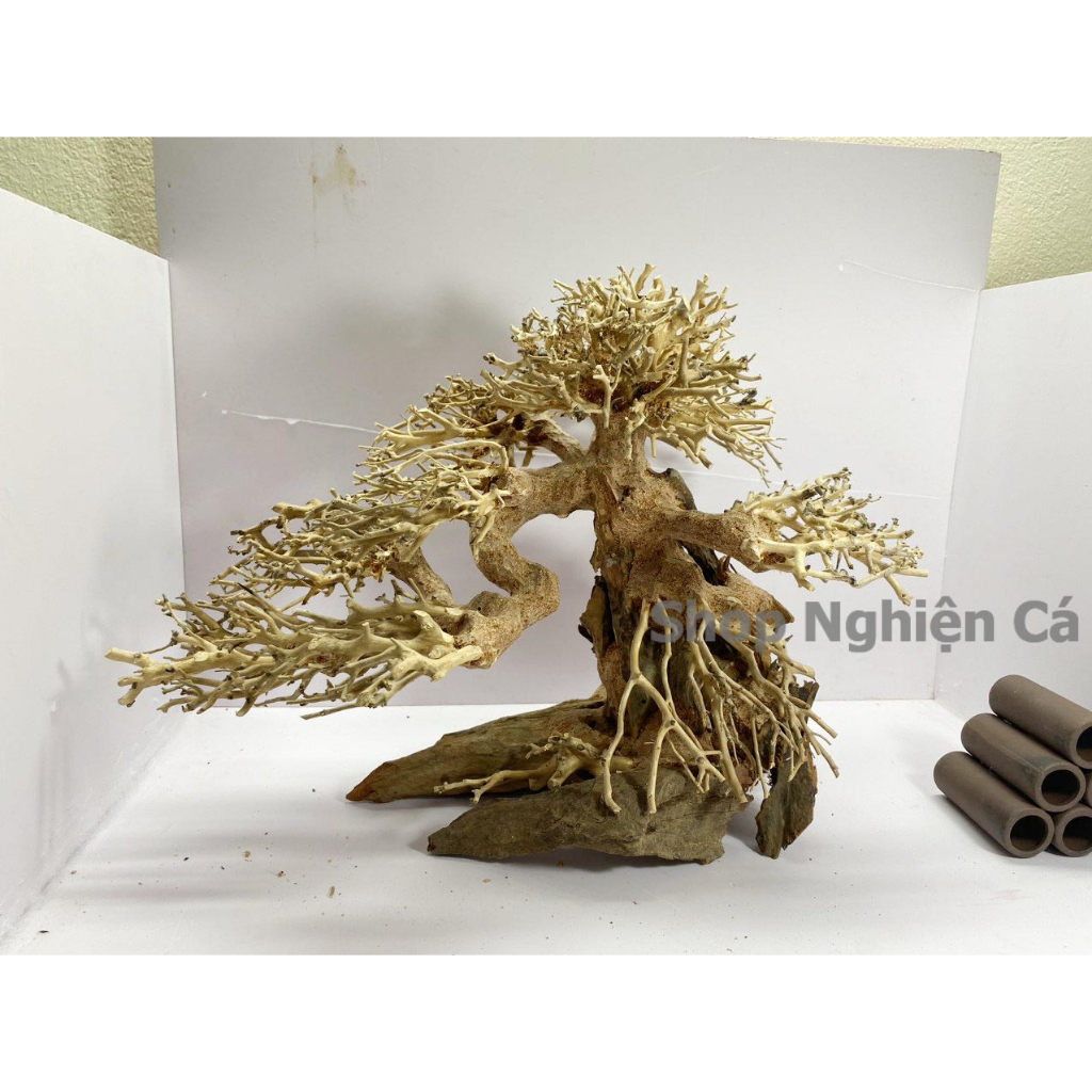 Lũa Bonsai Mini Trang Trí Bể Cá - Bể Thủy Sinh Dáng Đổ