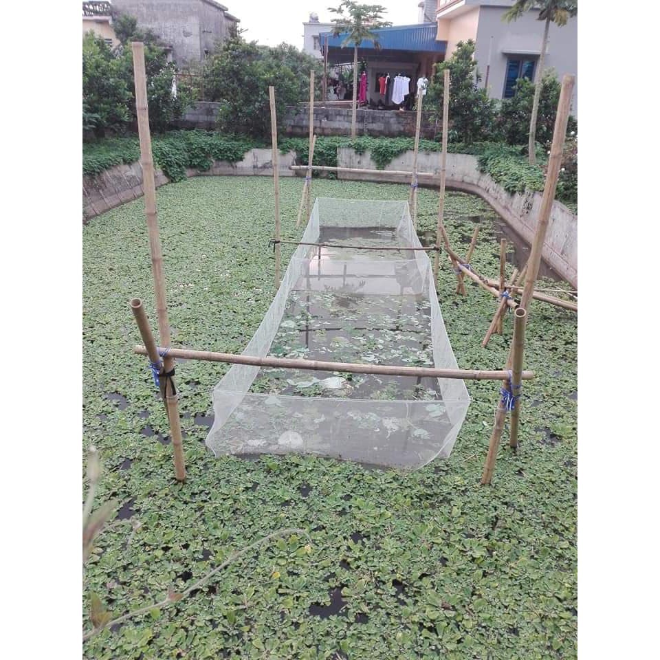 Tráng (vèo) lưới cước nuôi ốc nhồi, ếch...