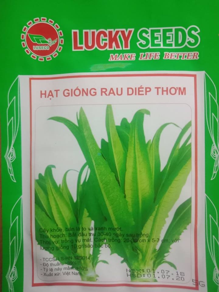 Hạt Giống Rau Diếp Thơm - Gói 5gram