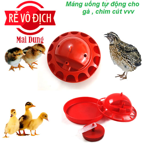 máng uống cho chim cút - gà - vịt - mới nở