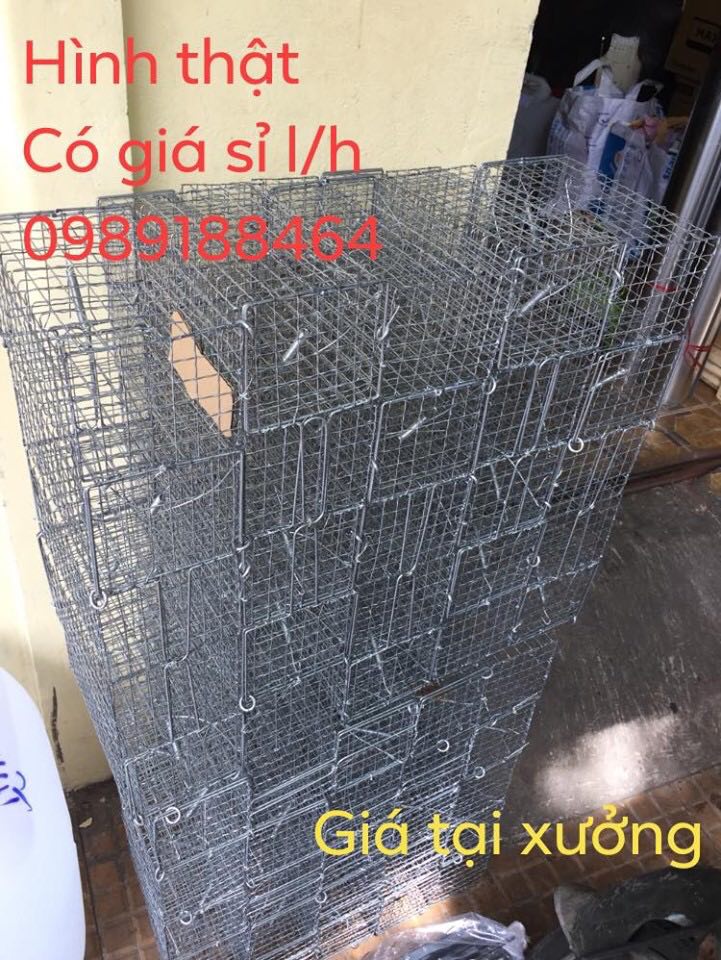 10 Bẫy chuột Bẫy sóc khoen gài