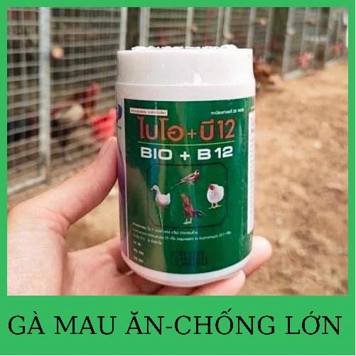 BIO B12 ÚM GÀ CON THAILAN