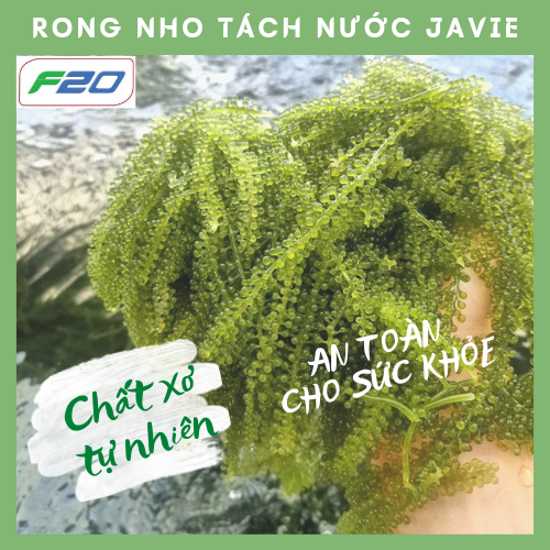 200gr Rong Nho Tách Nước giá sỉ