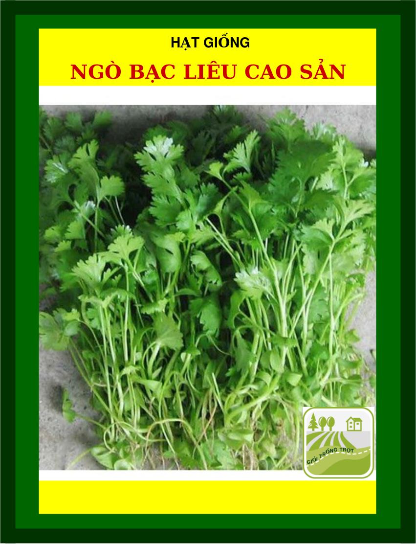 Hạt Giống Ngò Bạc Liêu, Hạt Bể Trang Nông