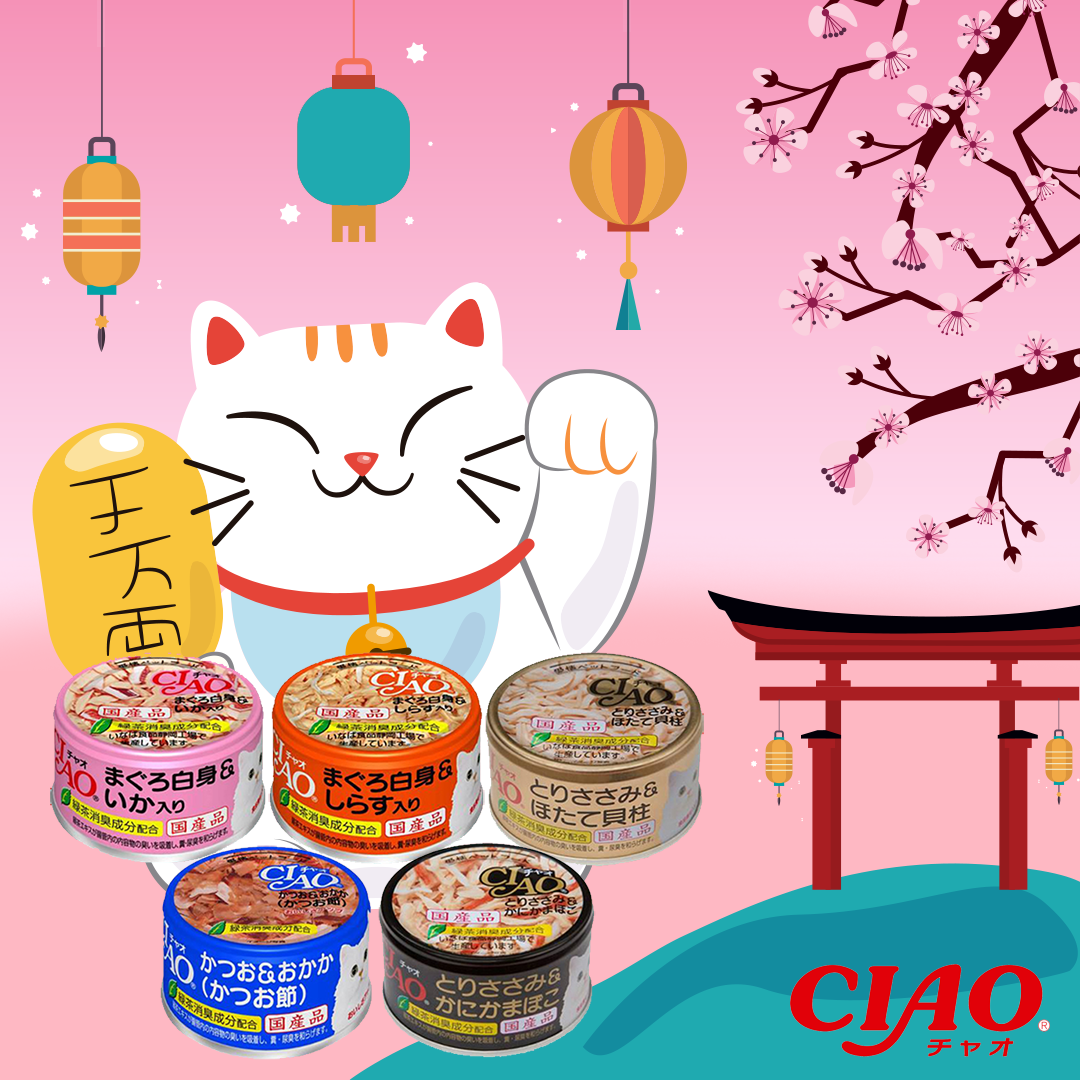 [Box of 24 Cans] Fresh Meat Pate for Cats (85g Can) Many Flavors