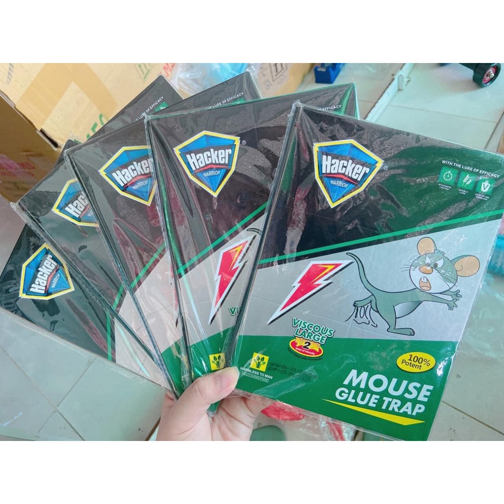 Miếng dính chuột siêu dính. ĐTVM
